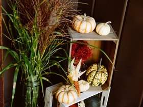 Palmer-Devore-Wedding-250.jpg