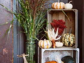 Palmer-Devore-Wedding-26.jpg