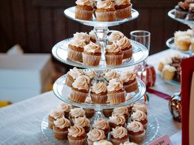 Palmer-Devore-Wedding-180.jpg